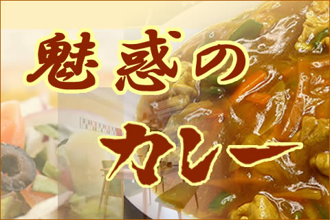 魅惑のカレー